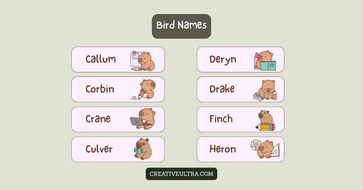 Cute cartoon animals next to bird-themed names like Callum, Crane, and Finch on a pastel background. Each animal is with books or computers. Cheerful vibe.