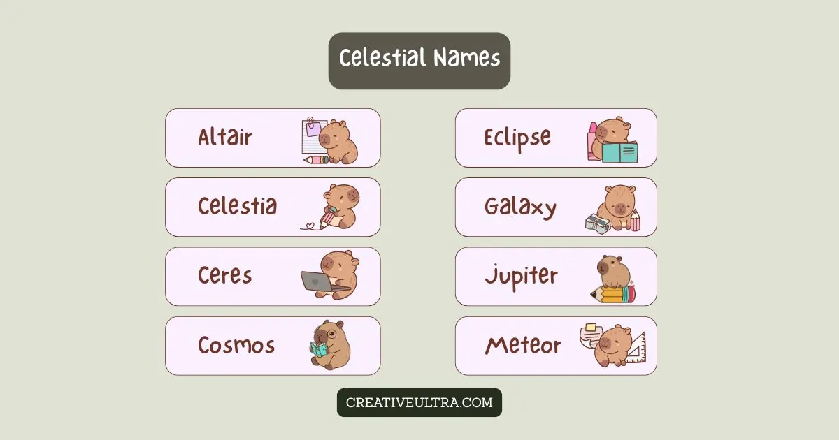 Illustration titled "Celestial Names" features cute animals with names like Altair, Celestia, and Galaxy, each holding objects like books and a laptop.