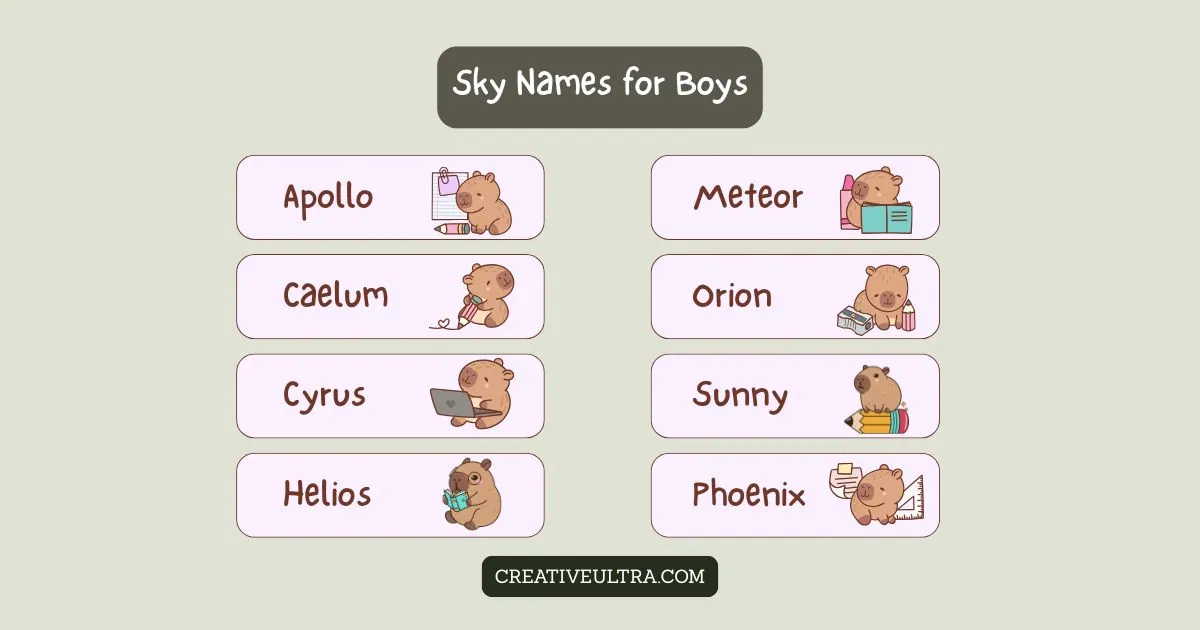 Illustrated chart titled "Sky Names for Boys" features cute animals beside names: Apollo, Meteor, Caelum, Orion, Cyrus, Sunny, Helios, Phoenix. Playful and educational.