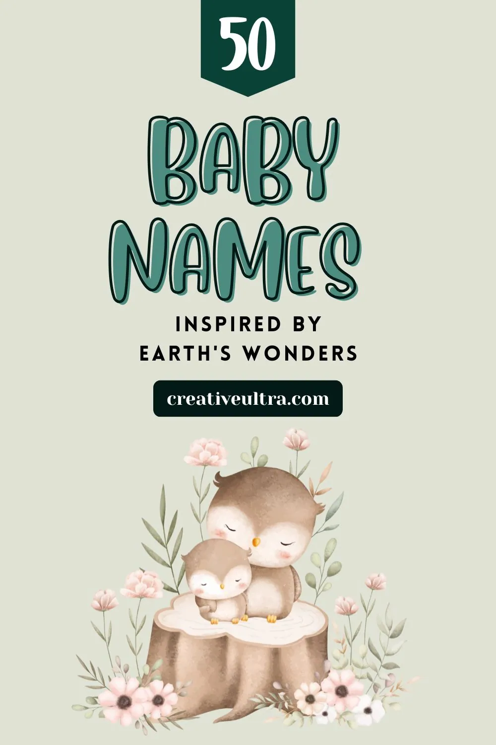Illustrated cover with "50 Baby Names Inspired by Earth's Wonders." Features cute owls on a tree stump surrounded by pink flowers. Calm, gentle tone.