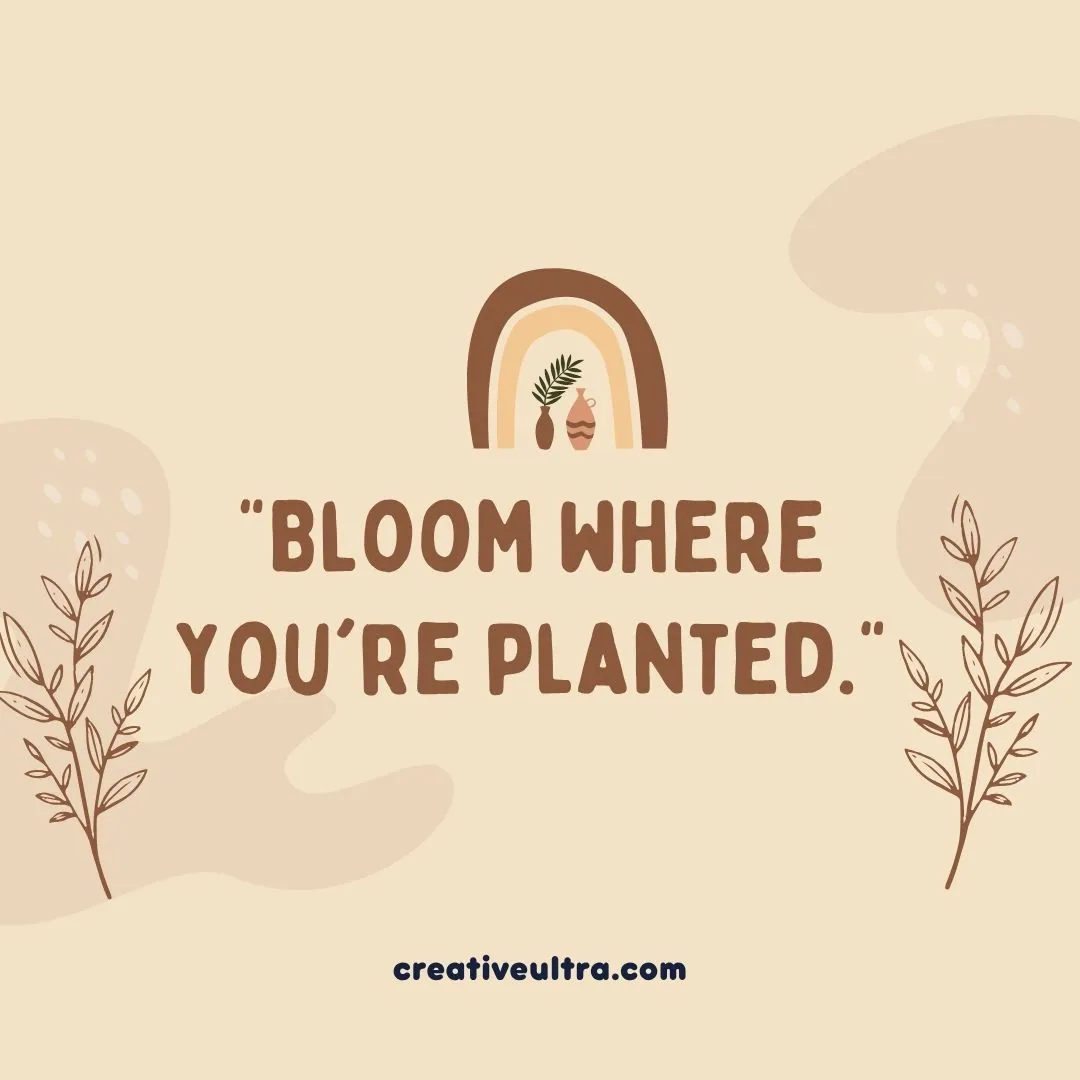 Text "Bloom where you're planted" in bold brown font on a beige background. Features a rainbow, minimalist leaves, and abstract shapes. Calm and inspiring mood.