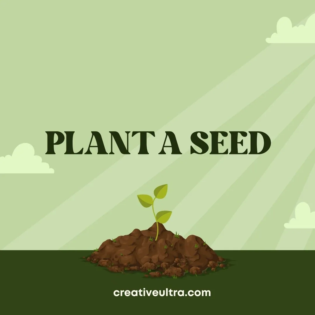 Illustration of a small sprouting plant emerging from soil under sunlight, with "Plant a Seed" text above. Light green background with stylized clouds.