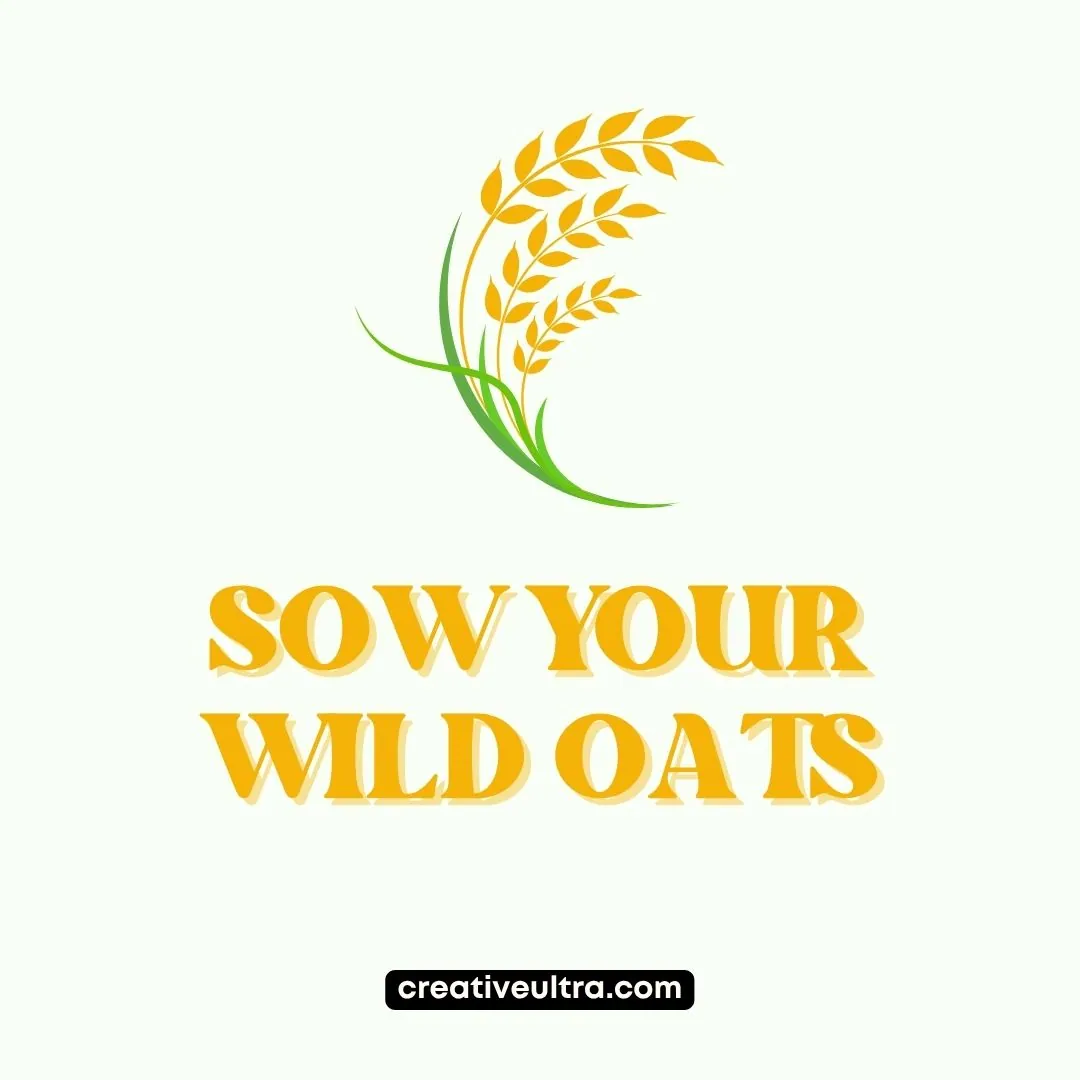 A graphic of stylized oats in yellow and green above bold, orange text reading "Sow Your Wild Oats" on a light background, exuding a lively tone.